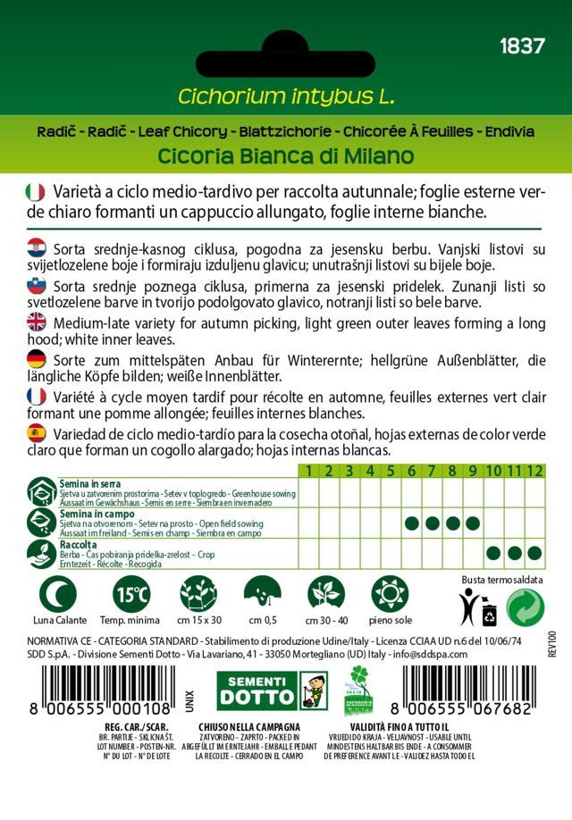 Cicoria Bianca di Milano