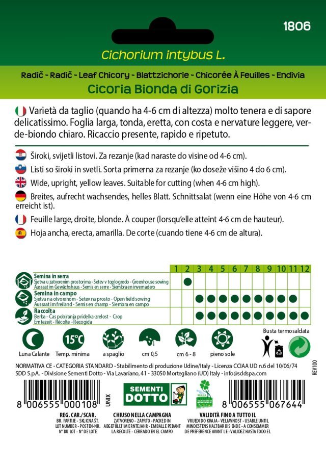 Cicoria Bionda di Gorizia