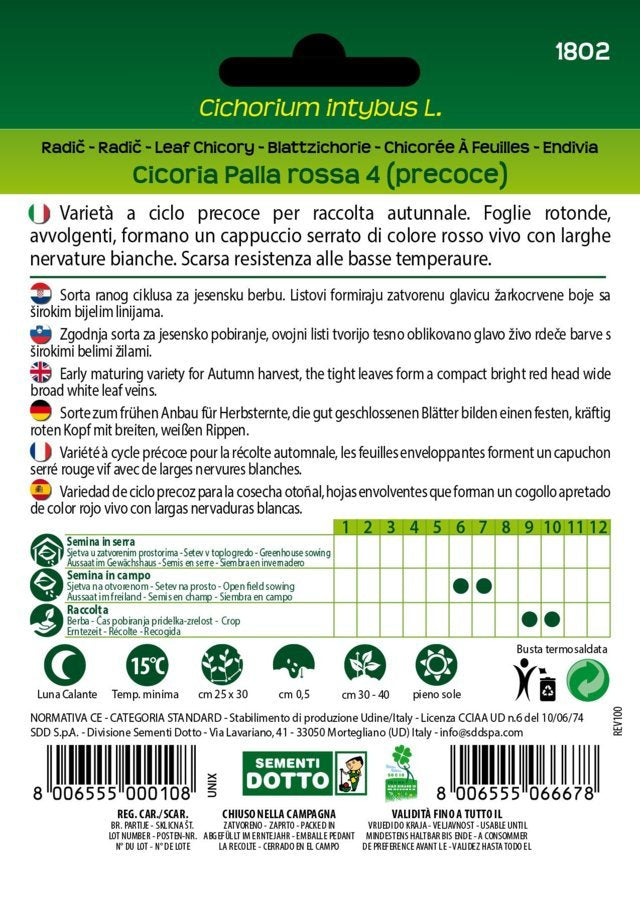 Cicoria Palla Rossa 4 Precoce