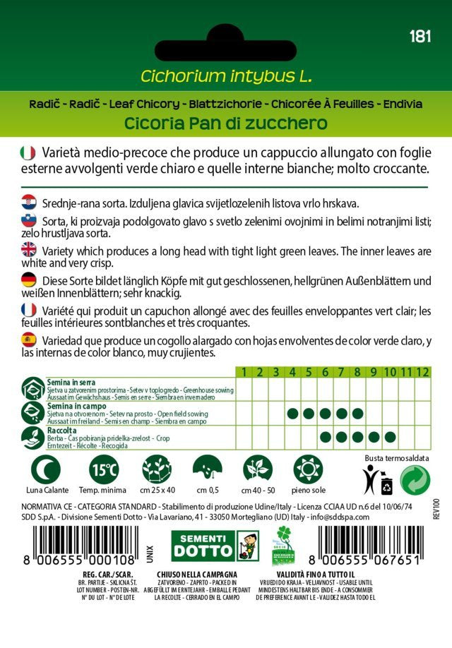 Cicoria Pan di Zucchero