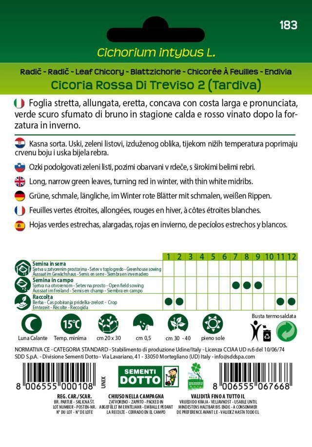 Cicoria Rossa di Treviso 2 Tardiva