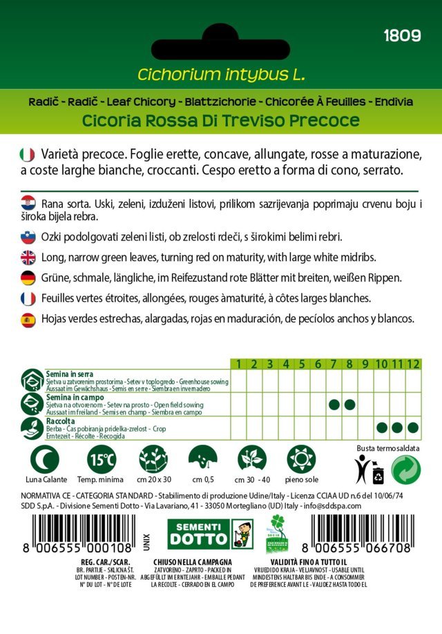 Cicoria Rossa di Treviso Precoce
