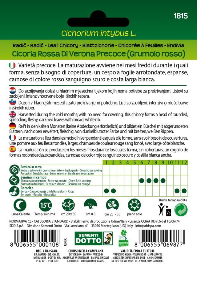 Cicoria Rossa di Verona Precoce (Grumolo Rosso)