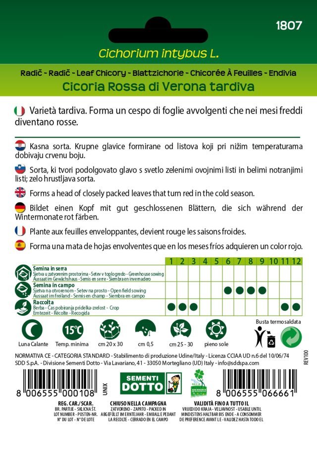 Cicoria Rossa di Verona Tardiva