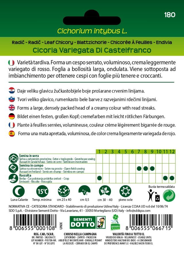 Cicoria Variegata di Castelfranco