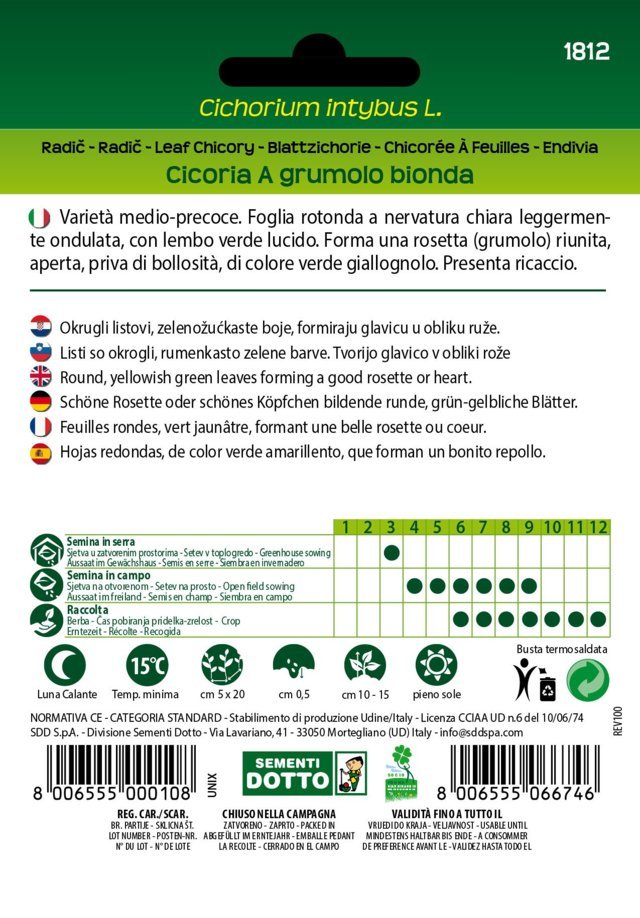 Cicoria a Grumolo Bionda