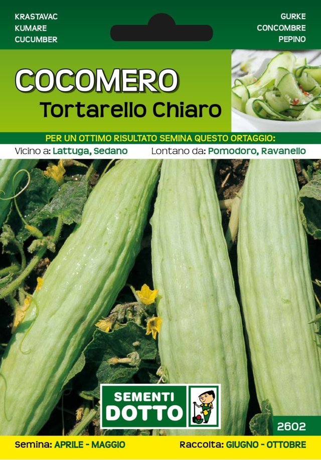 Cocomero Tortarello Chiaro - Giardango