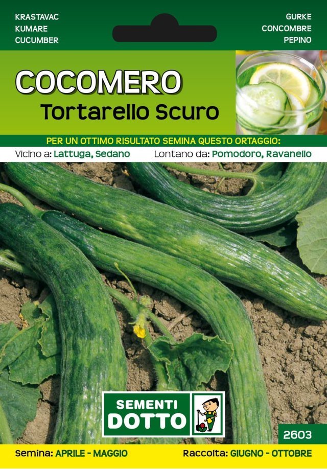 Cocomero Tortarello Scuro - Giardango