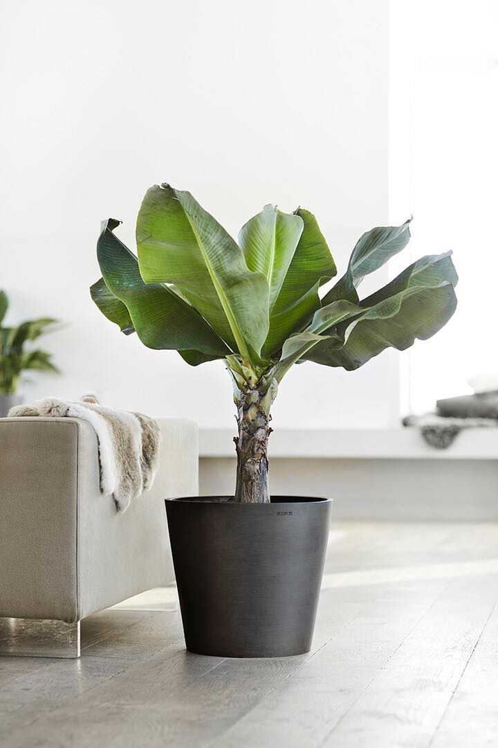 Vaso Tondo Ecopots Amsterdam 40 Grigio Scuro