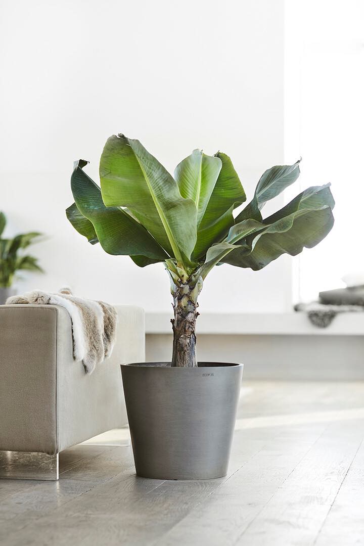 Vaso Tondo Ecopots Amsterdam 60 Grigio