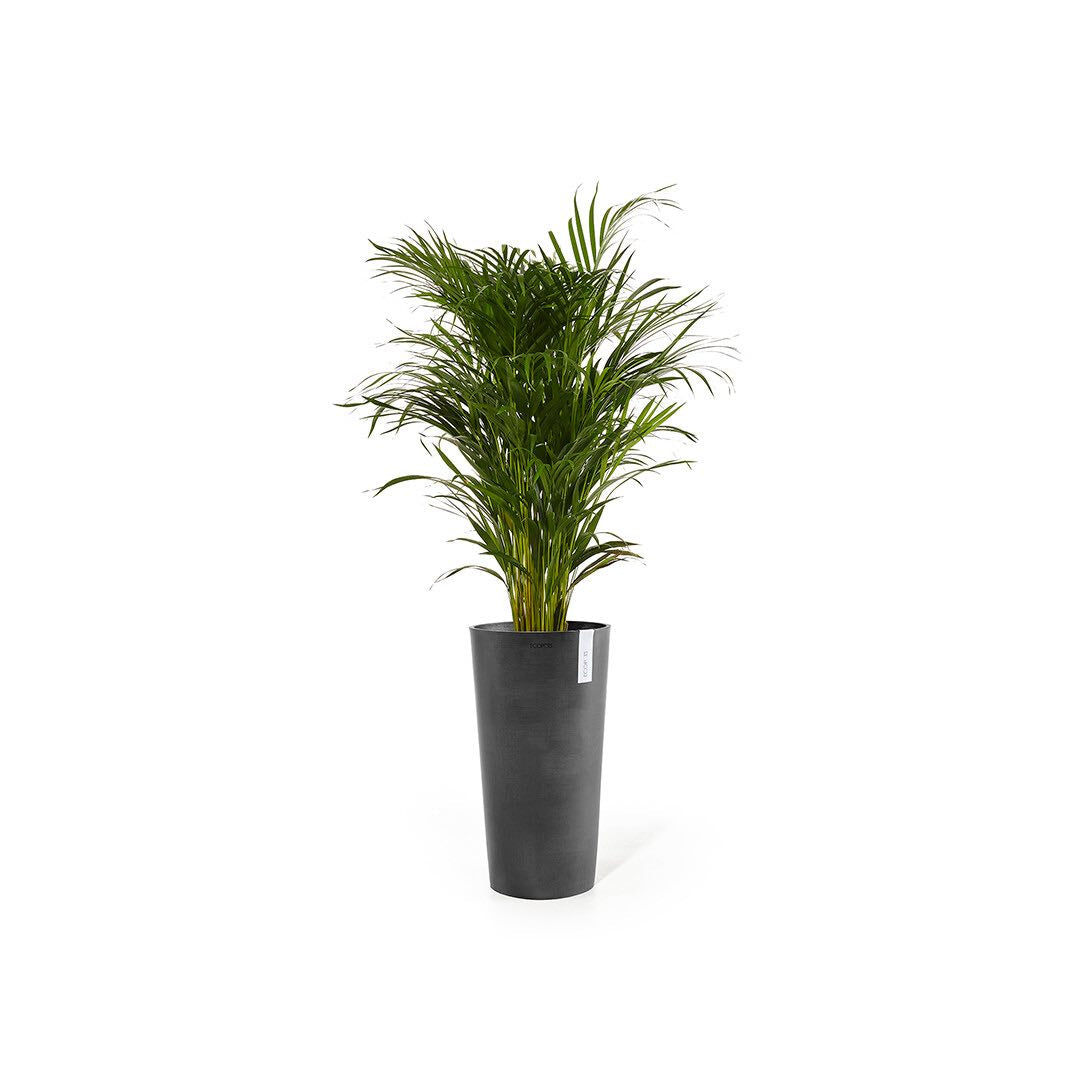Vaso Tondo Ecopots Amsterdam High 72 Grigio Scuro