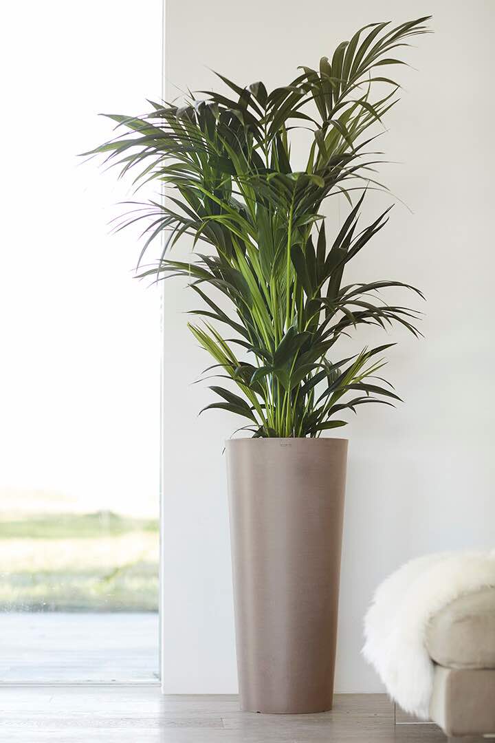 Vaso Tondo Ecopots Amsterdam High 72 Taupe