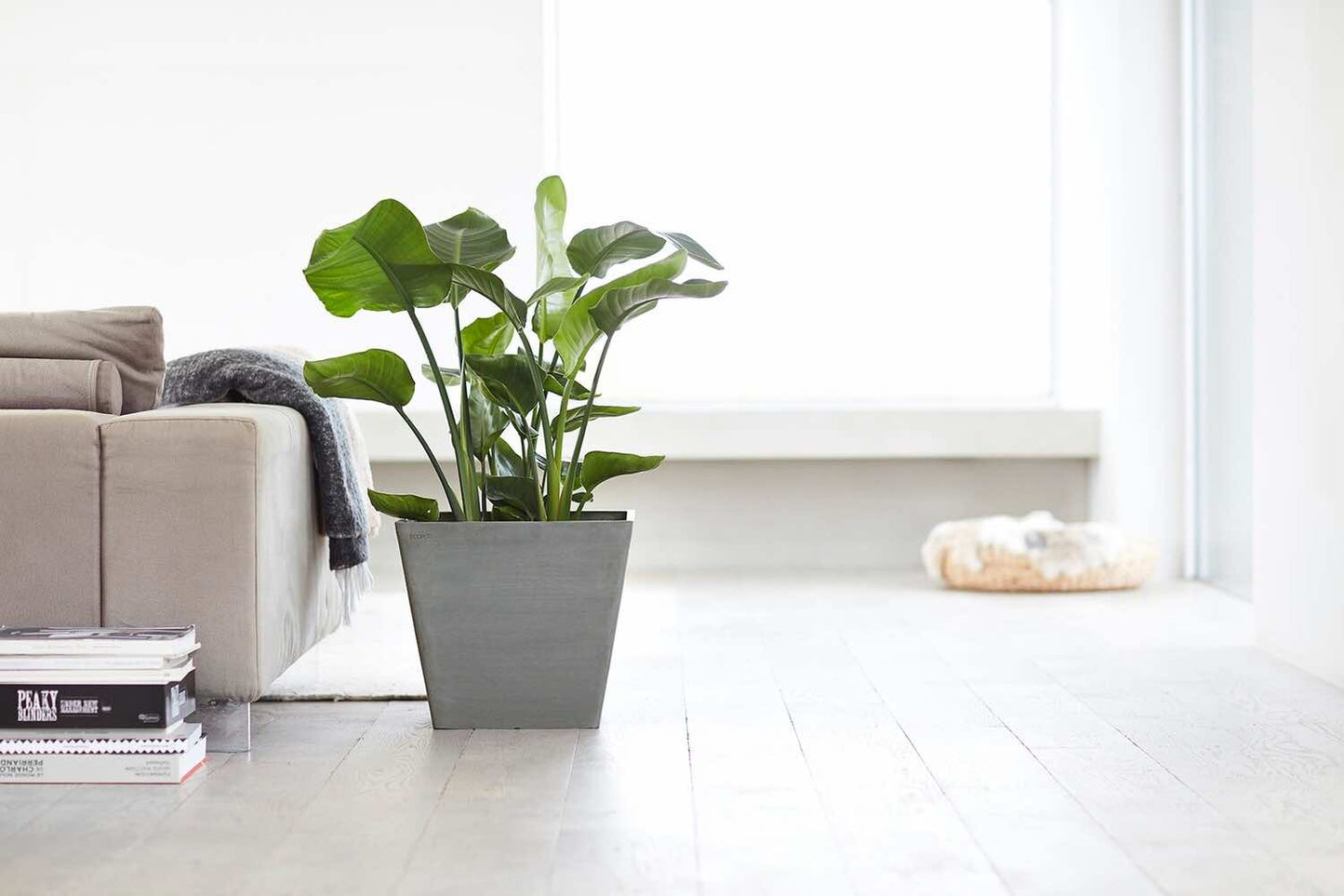 Vaso Squadrato Ecopots Rotterdam 40 Grigio