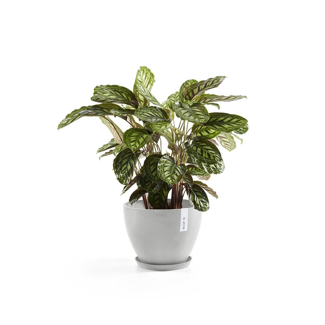 Sottovaso Tondo Ecopots 40 Grigio Chiaro