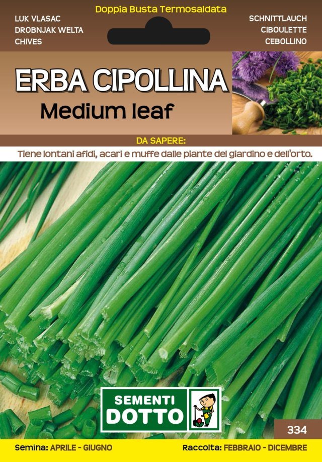 Erba Cipollina Medium Leaf - Giardango