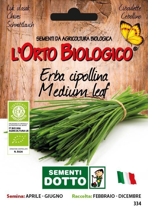 Erba Cipollina Medium Leaf - Giardango