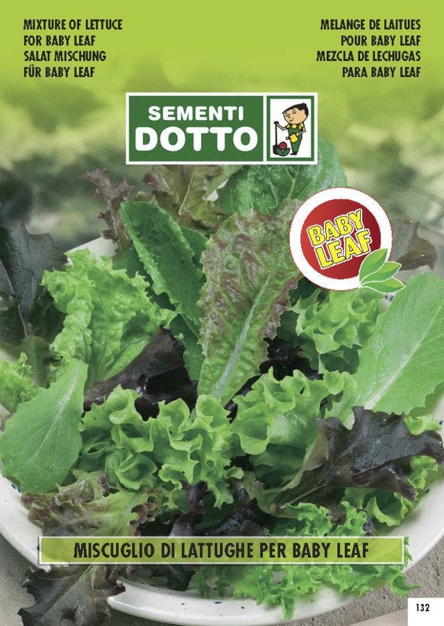 Lattughe per Baby Leaf