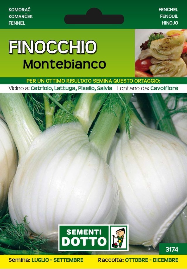 Finocchio Montebianco - Giardango