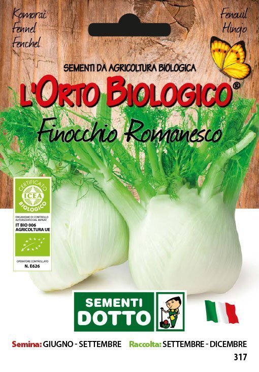 Finocchio Romanesco - Giardango