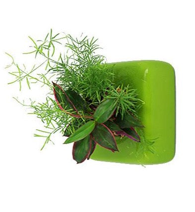 Flowerbox Quadrotto di Ceramica Smaltata di Vari Colori