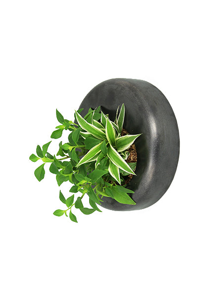 Flowerbox Disco di Ceramica Smaltata di Vari Colori