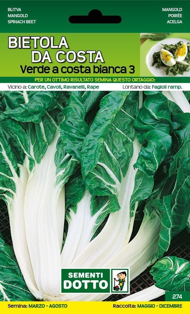 Bietola da Costa Verde a Costa Bianca 3