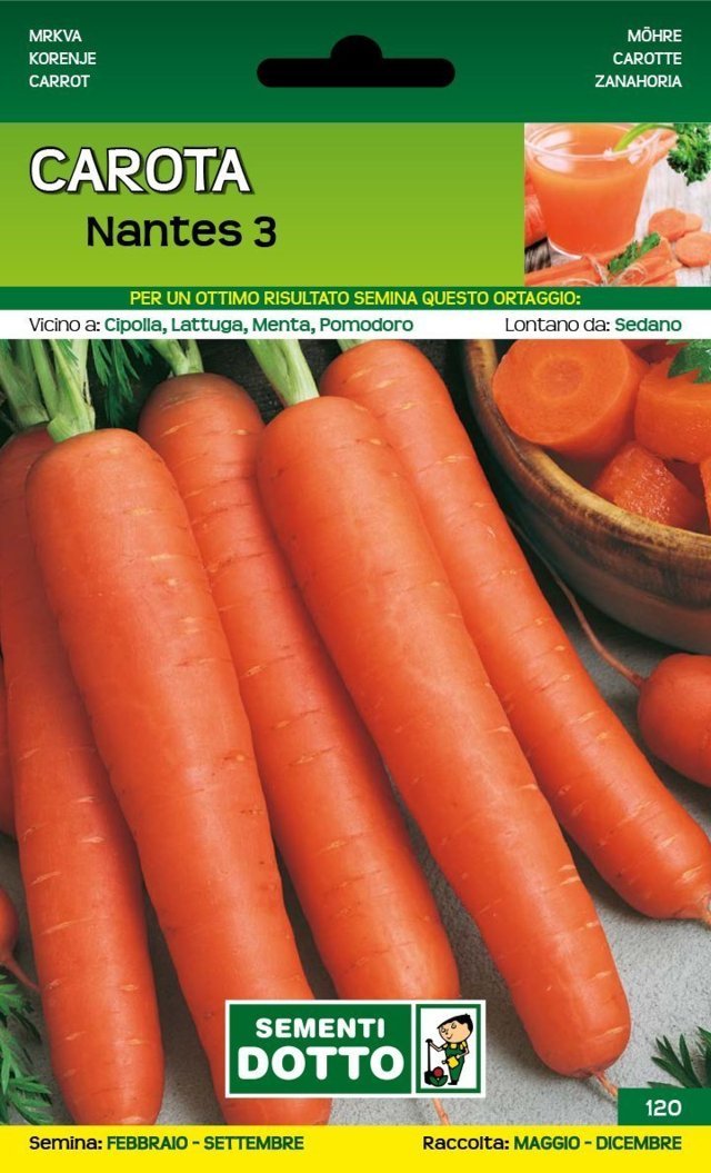 Carota Nantes 3