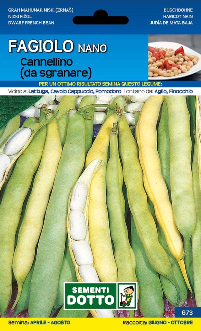 Fagiolo Cannellino Nano