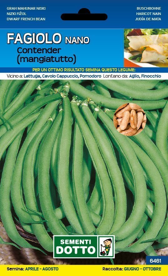 Fagiolo Contender Nano