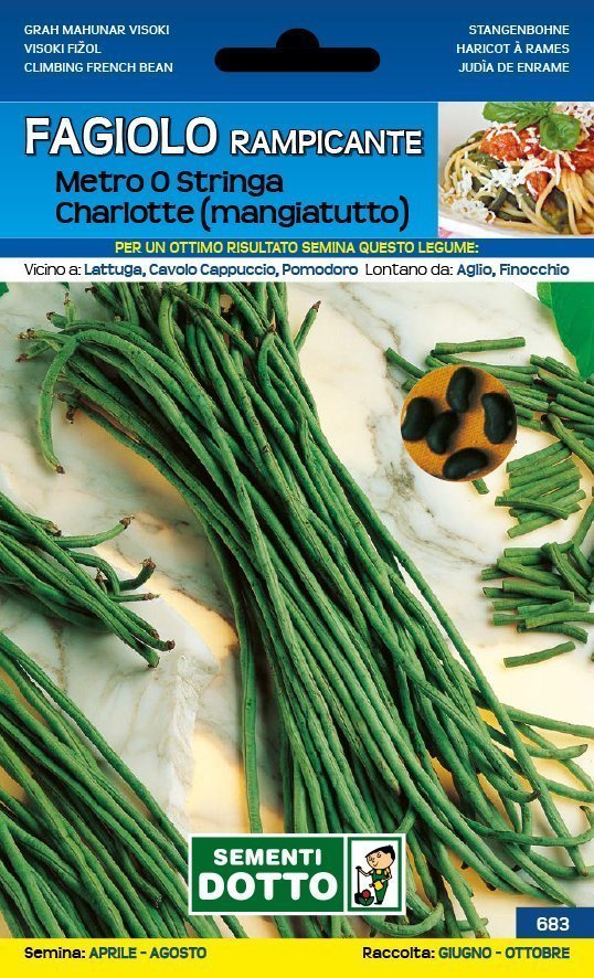 Fagiolo Metro o Stringa Charlotte Rampicante