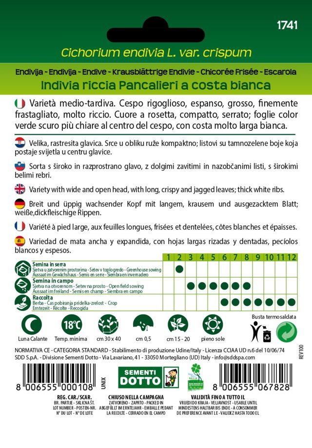 Indivia Riccia Pancalieri a Costa Bianca