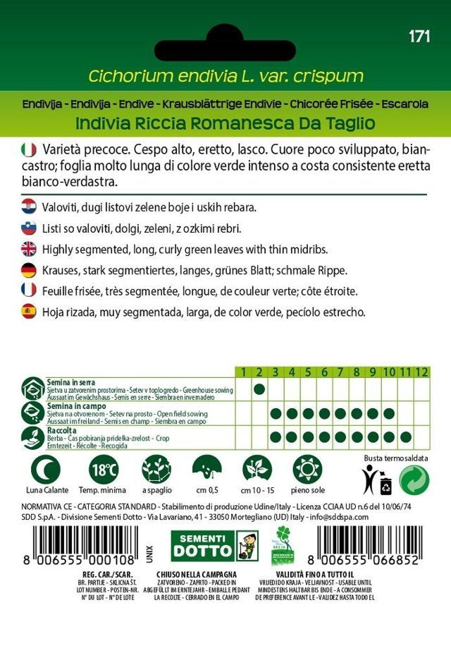 Indivia Riccia Romanesca da Taglio - Giardango