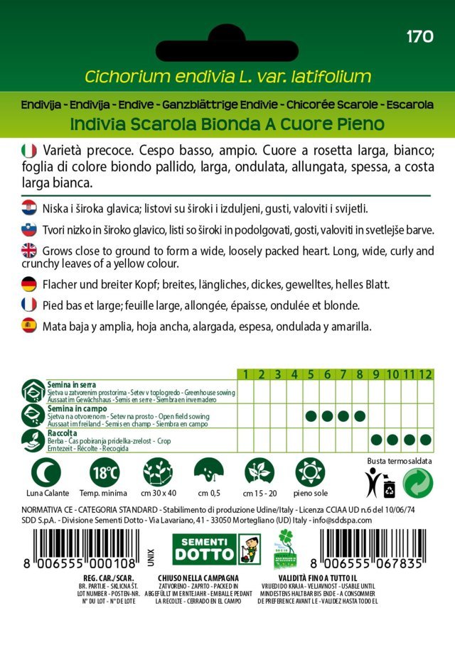 Indivia Scarola Bionda a Cuore Pieno - Giardango