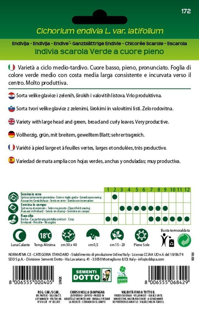Indivia Scarola Verde a Cuore Pieno