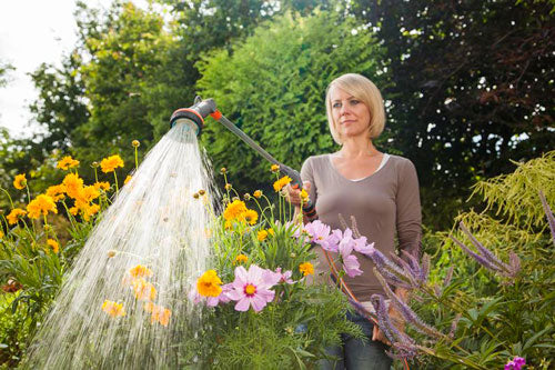 Lancia a Doccia Comfort con Prolunga - Giardango