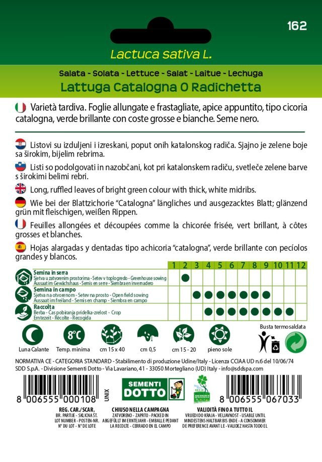 Lattuga Catalogna o Radichetta - Giardango