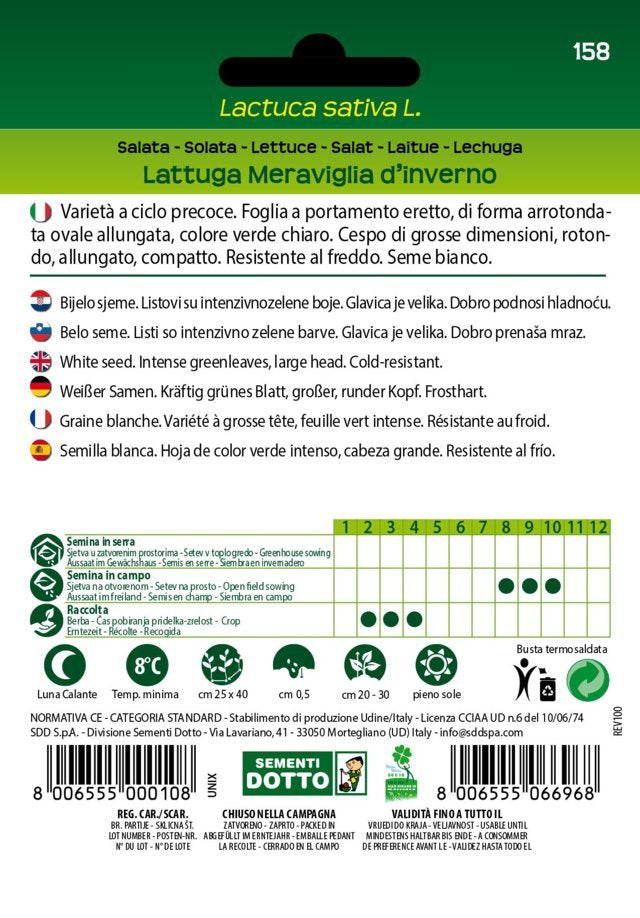 Lattuga Meraviglia d'Inverno - Giardango