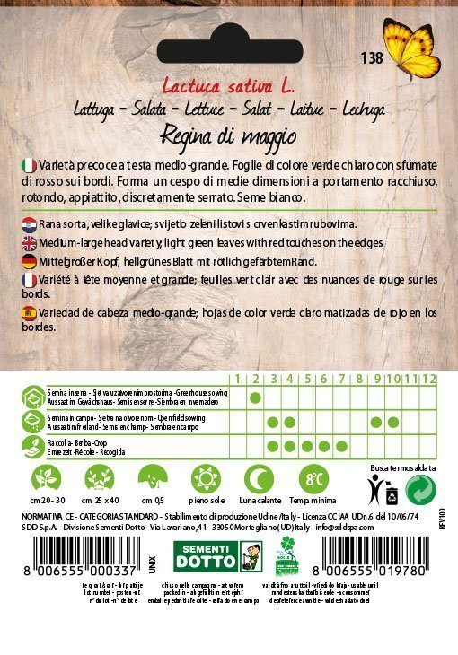 Lattuga Regina di Maggio - Giardango
