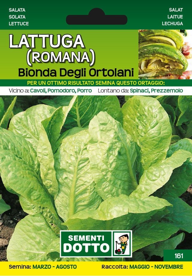 Lattuga Romana Bionda degli Ortolani