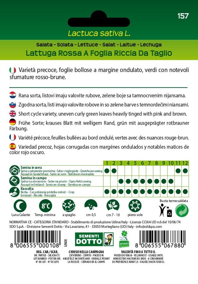 Lattuga Rossa a Foglia Riccia da Taglio