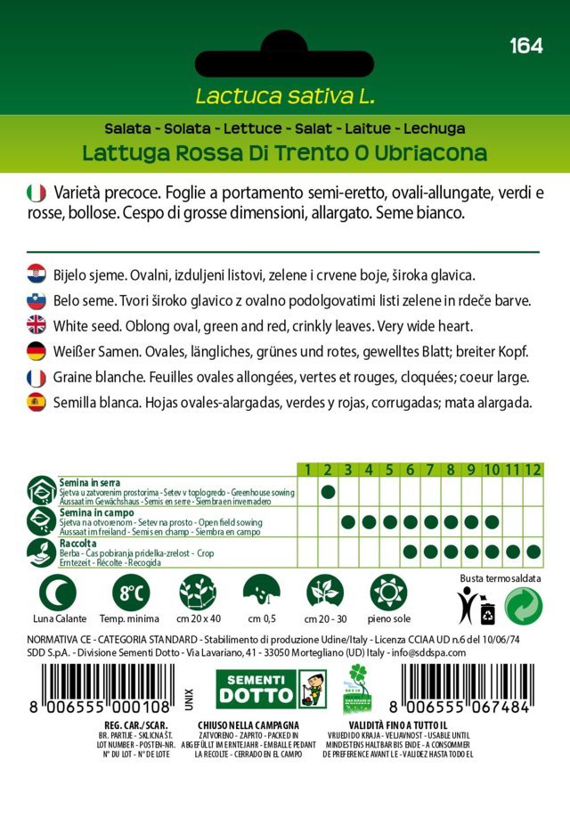 Lattuga Rossa di Trento o Ubriacona
