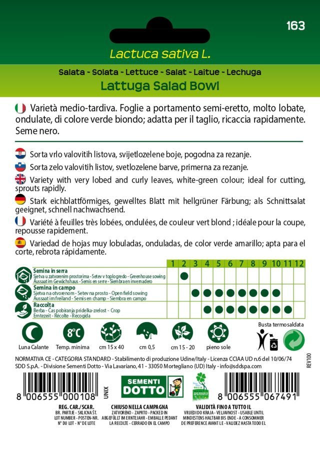 Lattuga Salad Bowl