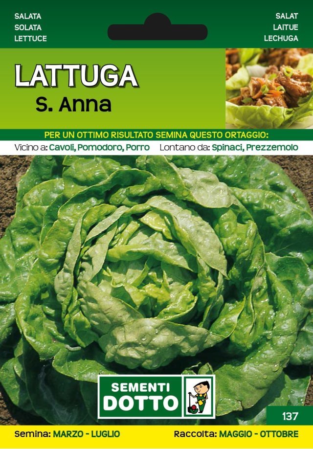 Lattuga S. Anna