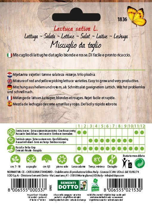 Lattuga in Miscuglio