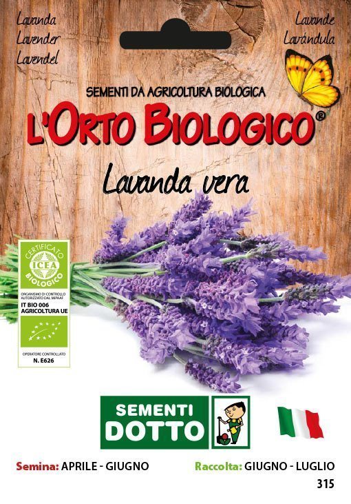Lavanda