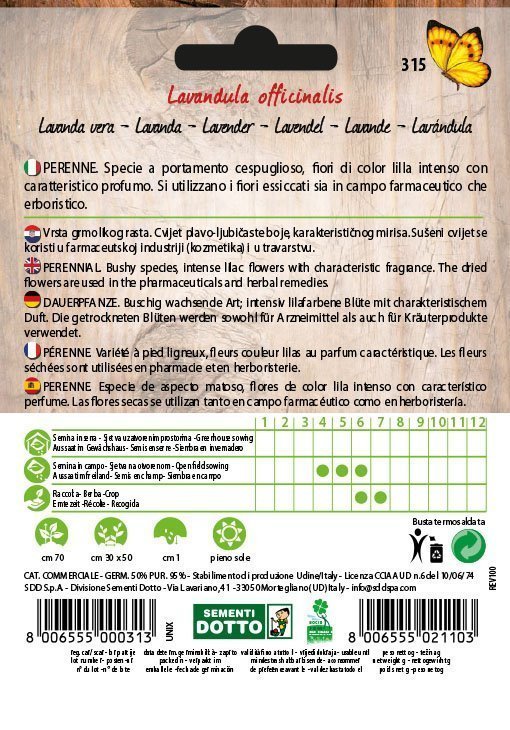 Lavanda