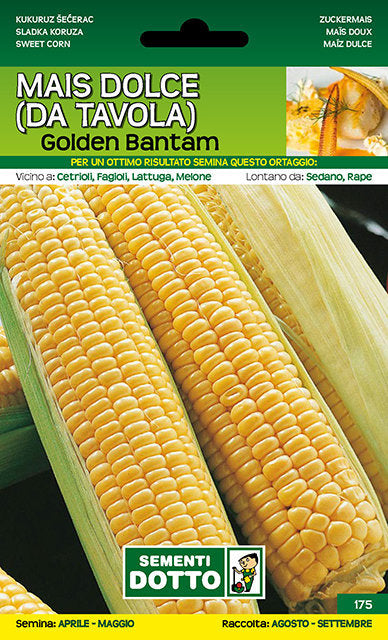 Mais Dolce Golden Bantam