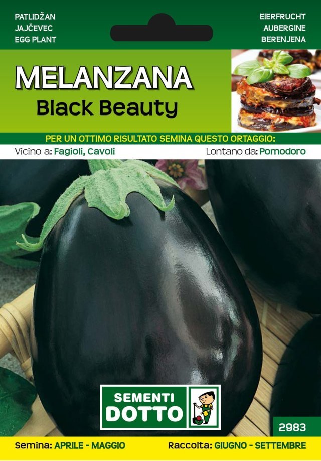 Melanzana Black Beauty