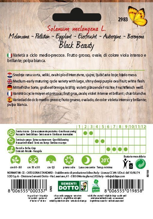 Melanzana Black Beauty - Giardango