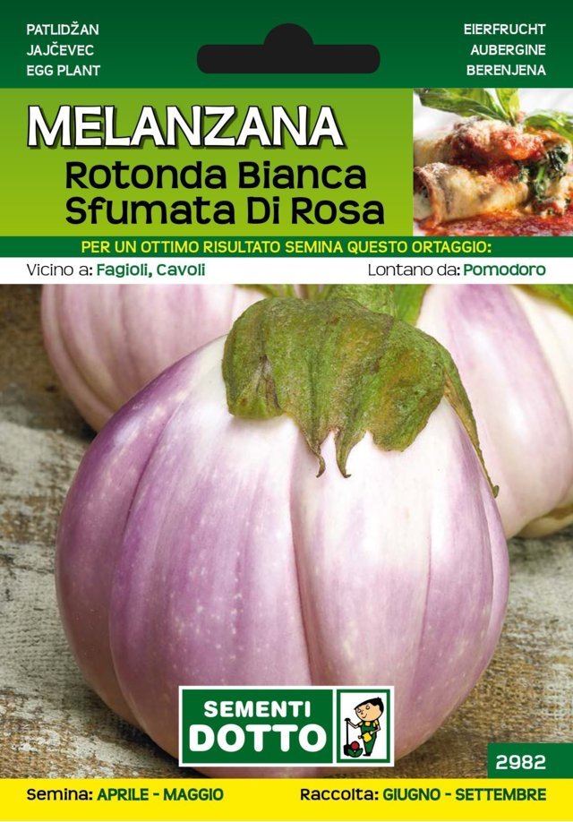 Melanzana Rotonda Bianca Sfumata Rosa